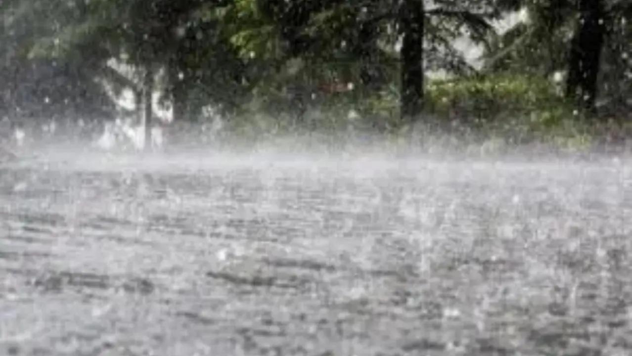 Tamil Nadu rains: Schools and colleges shut in four districts after heavy showers